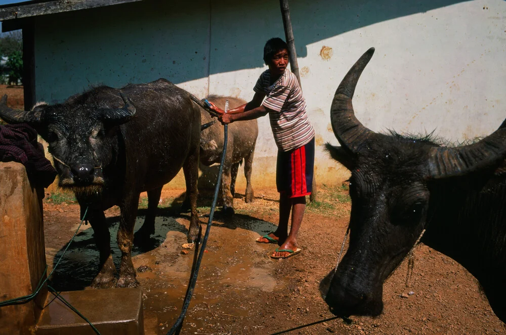 Myanmar Kalaw - fotokunst von Jim Delcid