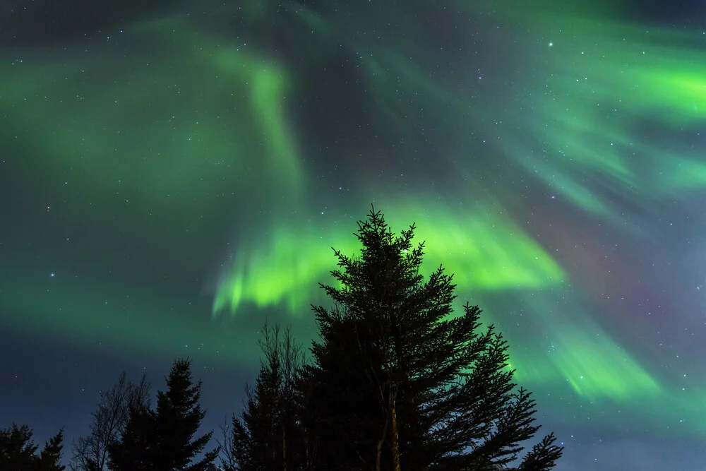 Polarlichter auf den Lofoten - fotokunst von Stefan Schurr