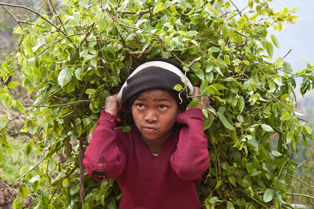 Branch boy - fotokunst von Tom Sabbadini