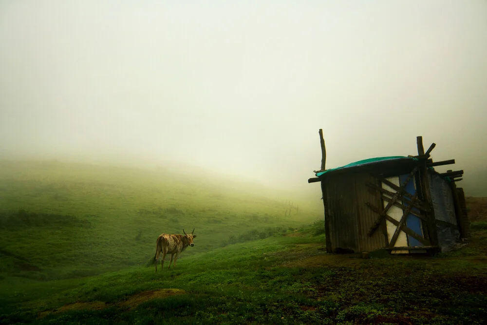 The Horny Mist - fotokunst von Siddharthan Raman