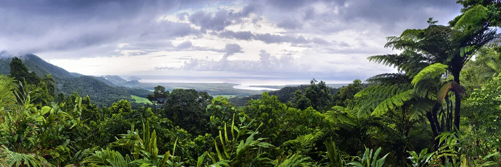 Daintree forest cape tribulation - fotokunst von Franzel Drepper