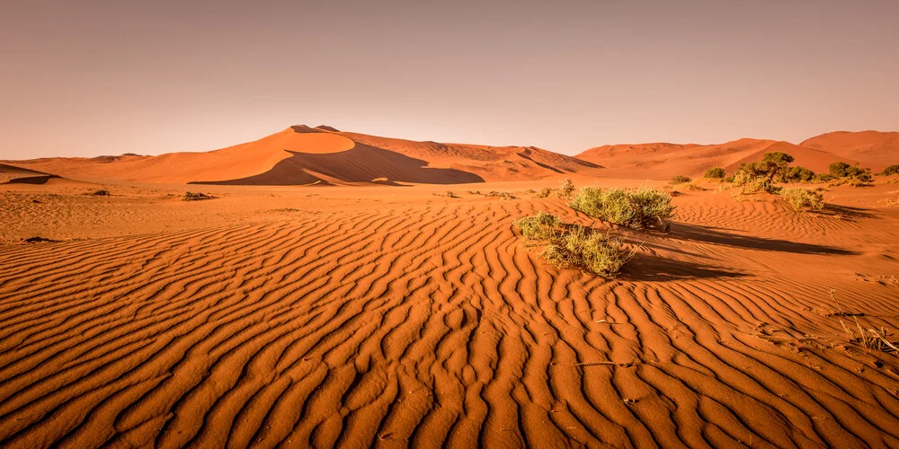 Dune in the desert - Fineart photography by Michael Stein