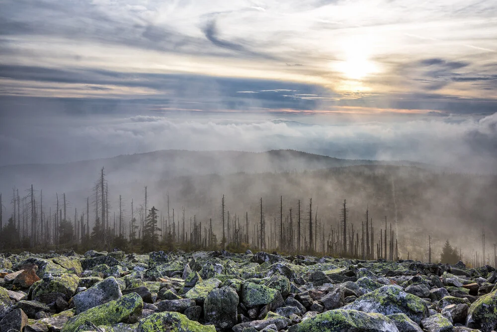 Fog on the Lusen in Bavaria - Fineart photography by Stefan Schurr