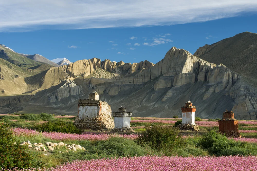 Stupa in den bunten Feldern Mustangs - fotokunst von Dirk Steuerwald