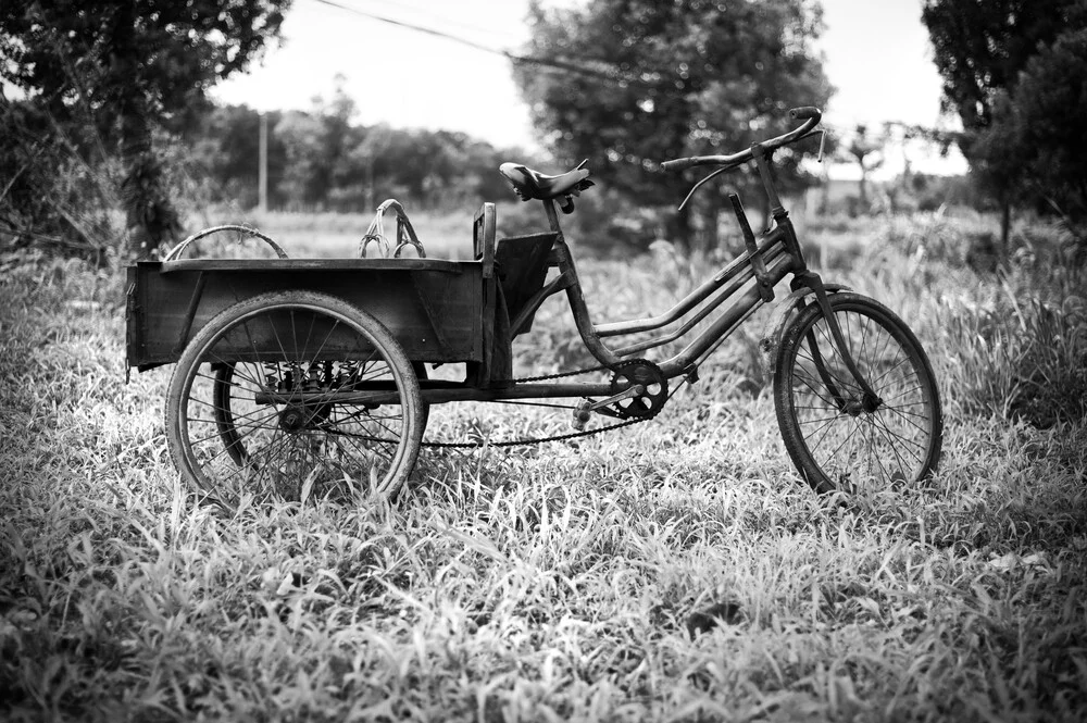 Country Life - Fineart photography by Rob Smith