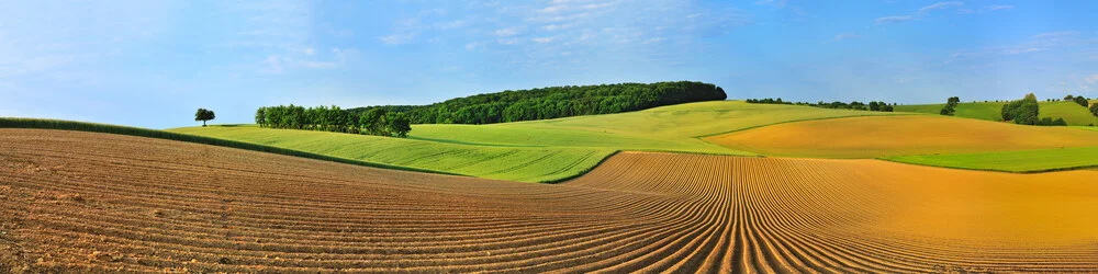 Im Feld - fotokunst von Hans Altenkirch