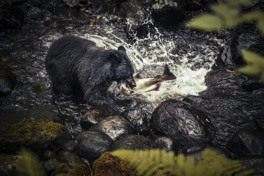 the big catch - fotokunst von Jan Eric Euler