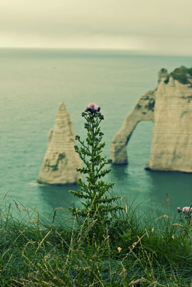 Etretat - fotokunst von Thomas Hammer