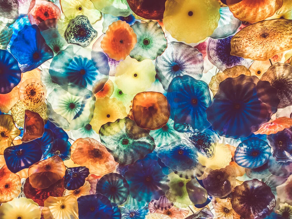 Jellyfish - fotokunst von Martin Röhr