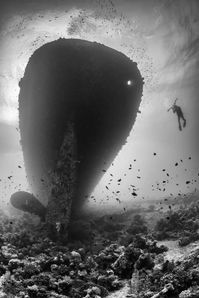 Kingston wreck - fotokunst von Christian Schlamann