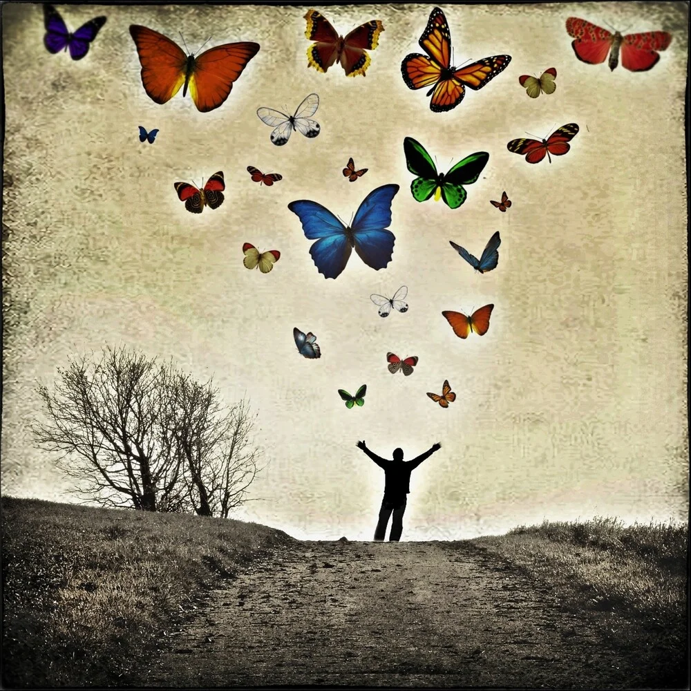 papillons - fotokunst von Frank Wöllnitz
