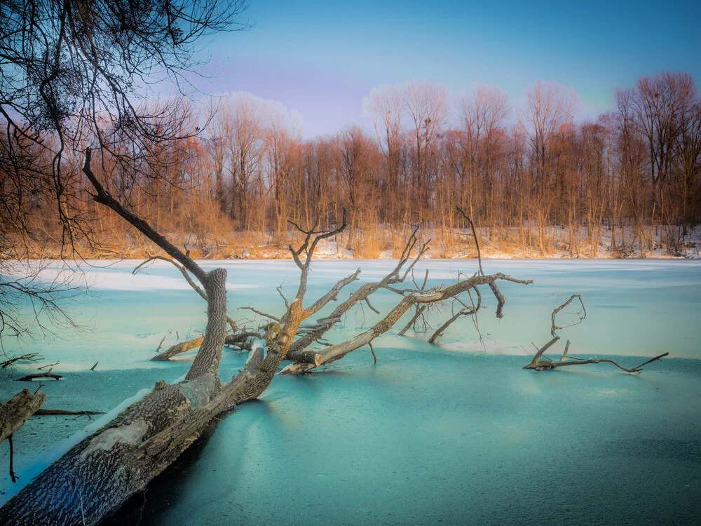 frozen lake - Fineart photography by Harald Tüchler