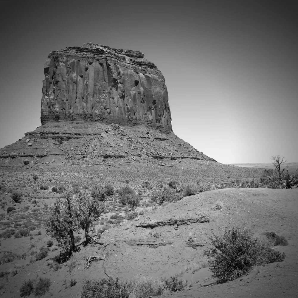 MONUMENT VALLEY Merrick Butte schwarz-weiß - fotokunst von Melanie Viola