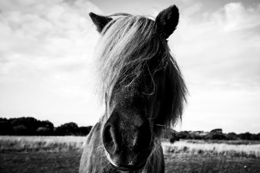 The northern border #2 - fotokunst von Roman Becker