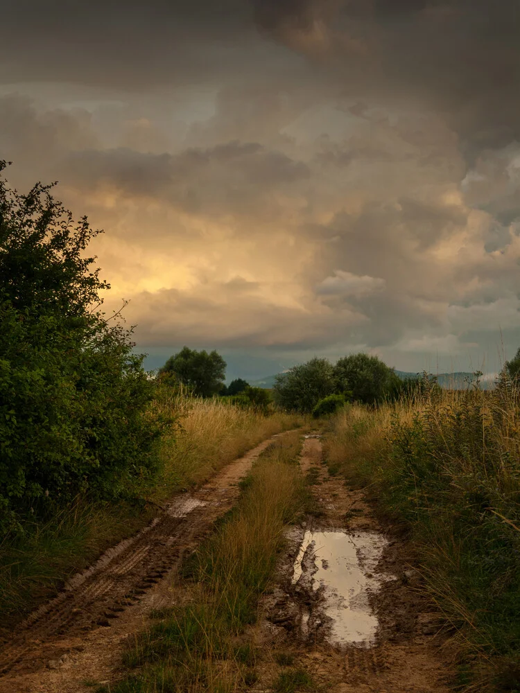 Gold in the sky - fotokunst von Zoran Radaković