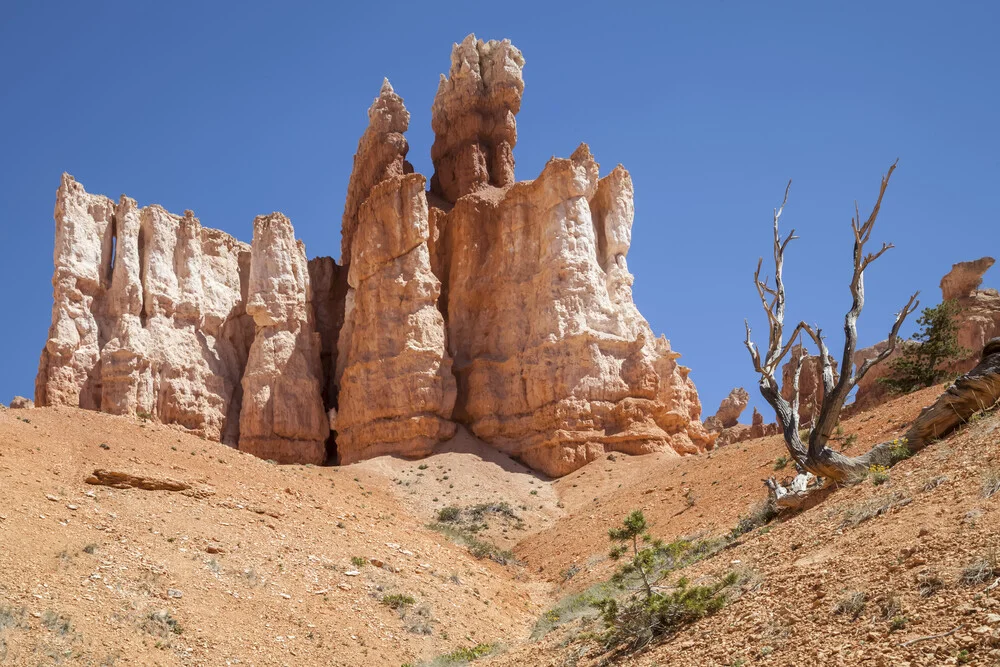 BRYCE CANYON Felsen & Natur - fotokunst von Melanie Viola