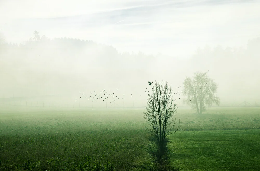 Aufbruch im Nebel - fotokunst von Martina Fischer