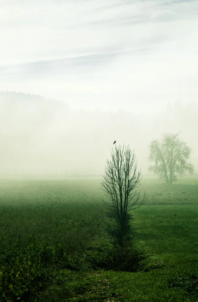 Stille im Nebel - fotokunst von Martina Fischer