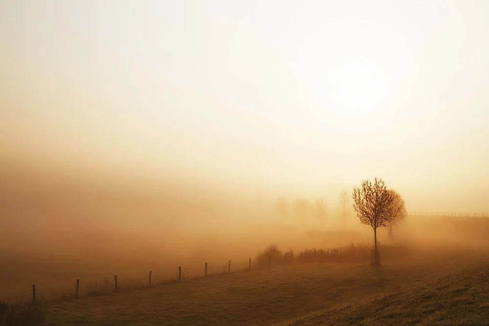 Niederrhein - fotokunst von Oliver Buchmann