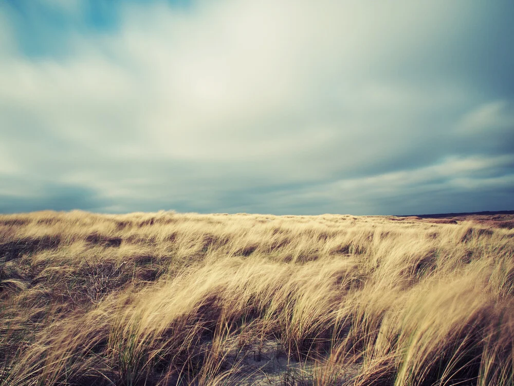 gusty - fotokunst von Kay Block