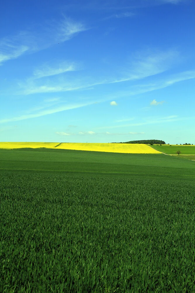 yellow - fotokunst von Jens Berger