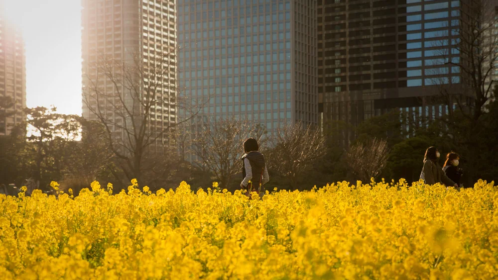 sunny afternoon in Tokyo - fotokunst von Manuel Kürschner