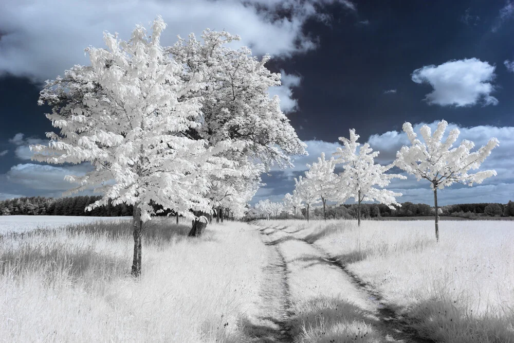 Uckermark - fotokunst von Holger Nimtz