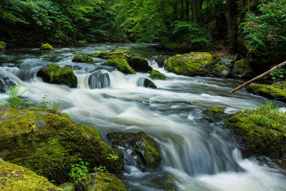 Wildes Bodetal - fotokunst von Martin Wasilewski