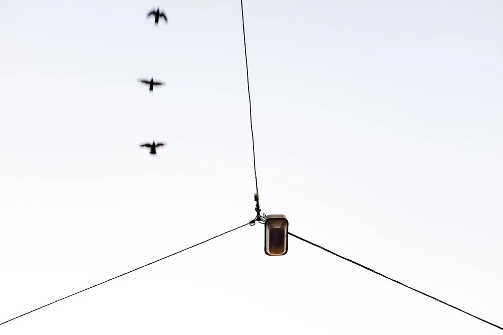 Drei Vögel neben dem Drahtseil - fotokunst von Markus Green