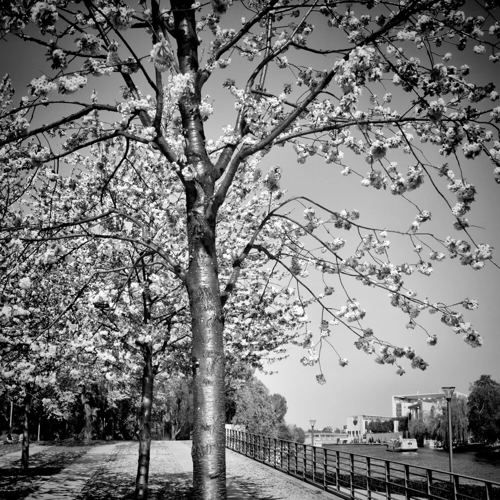 BERLIN River Spree - Fineart photography by Melanie Viola