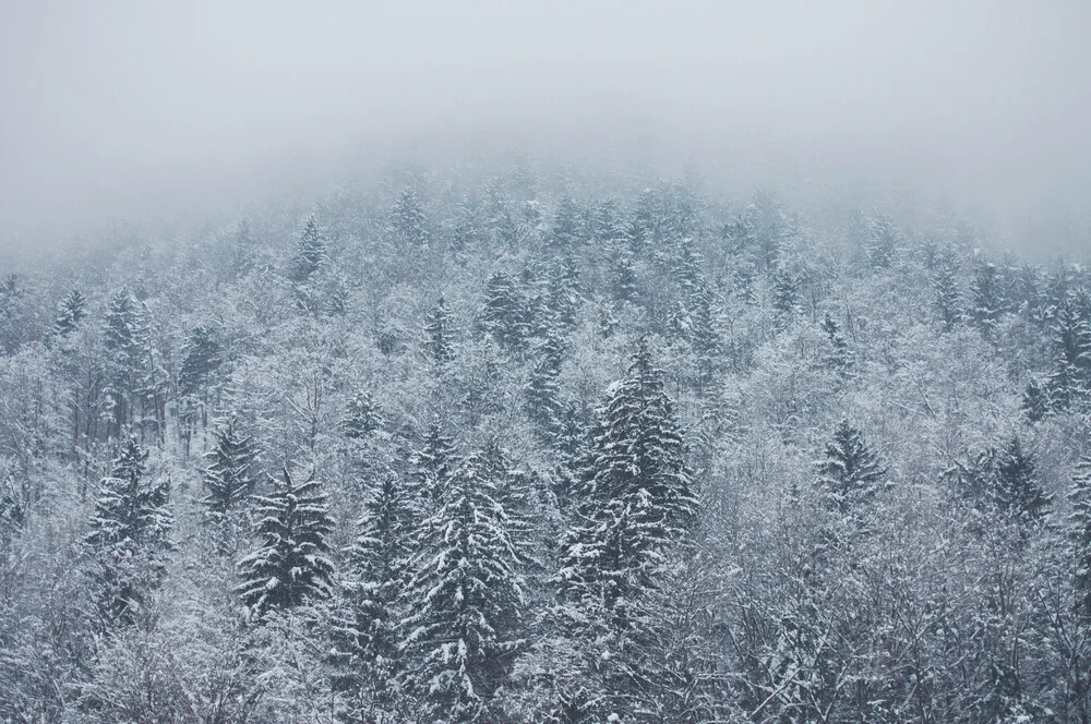 Slovenian Winter - fotokunst von Dia Takacsova
