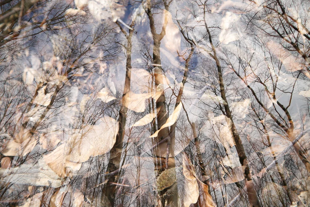 Herbst - fotokunst von Rolf Bökemeier