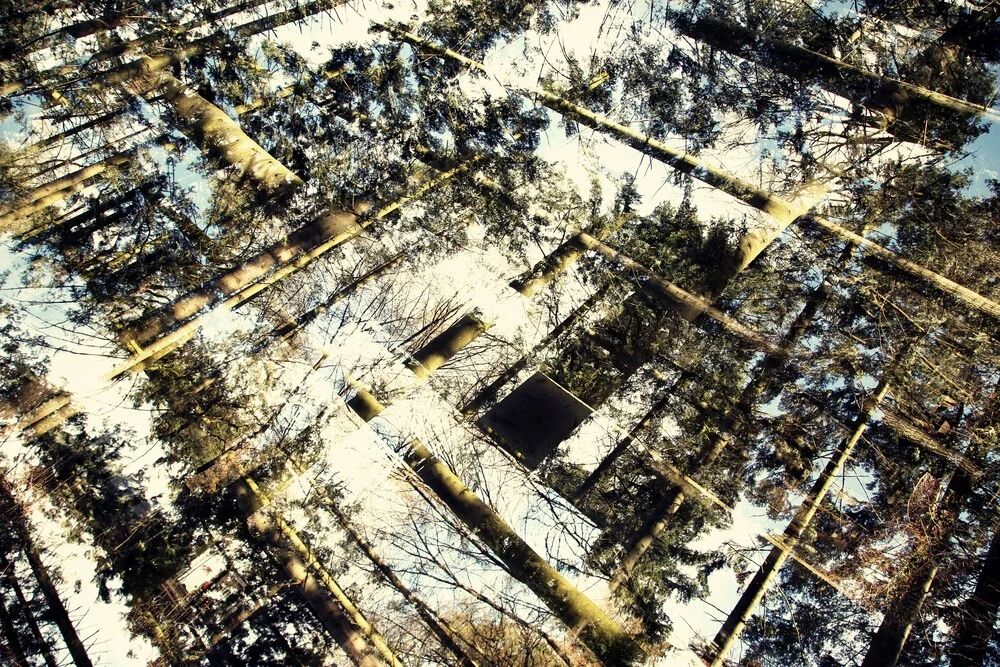 dynamischer Wald - fotokunst von Rolf Bökemeier