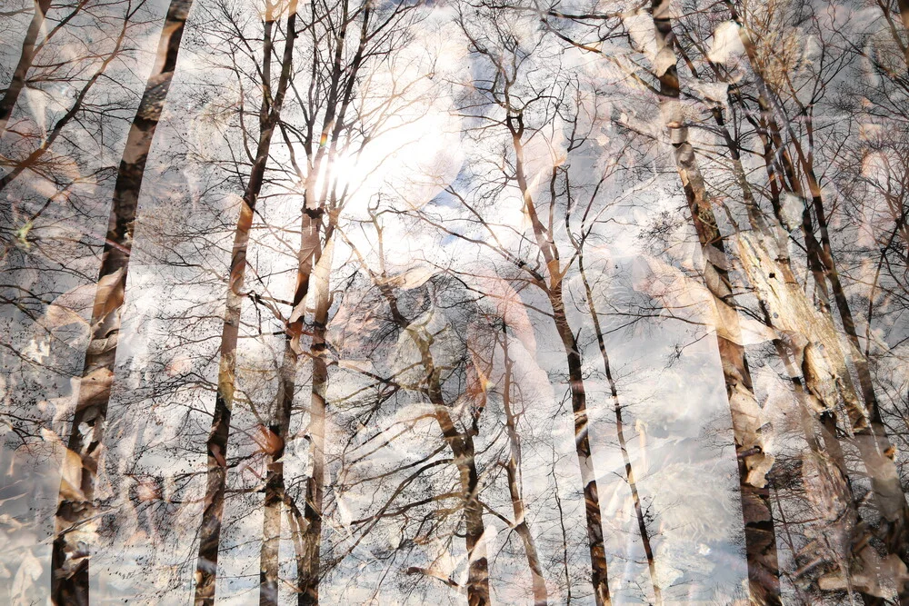 Herbst - fotokunst von Rolf Bökemeier