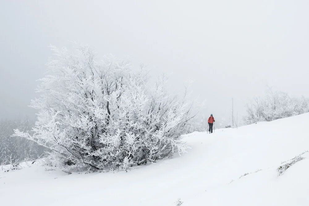 Black Forest Winter - fotokunst von Stefan Huber