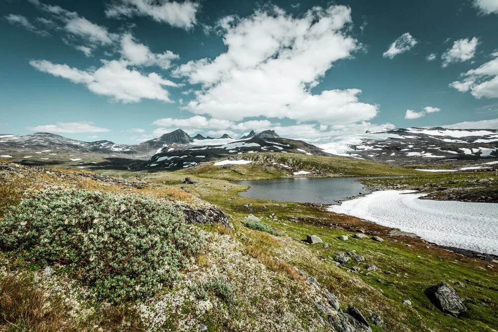 [:] home of the giants [:] - fotokunst von Franz Sussbauer