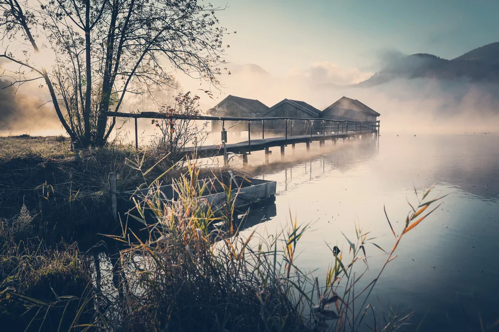 [:] morning haze [:] - fotokunst von Franz Sussbauer