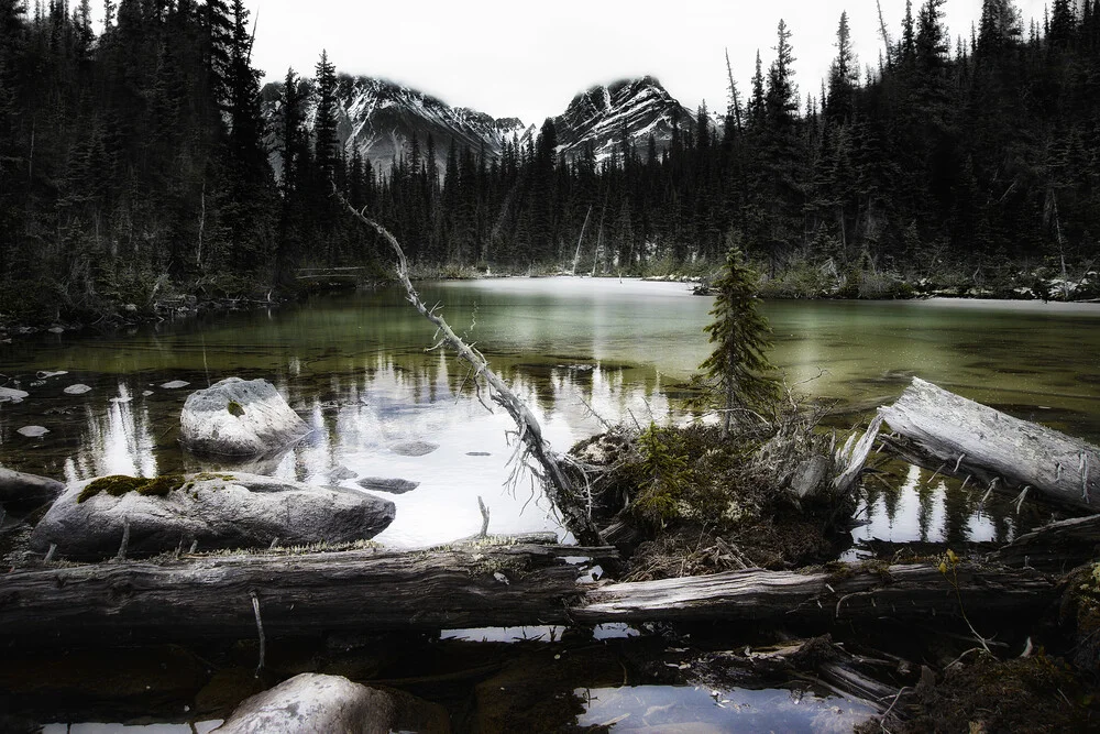 Chemin de Glace - fotokunst von Max Bellefleur