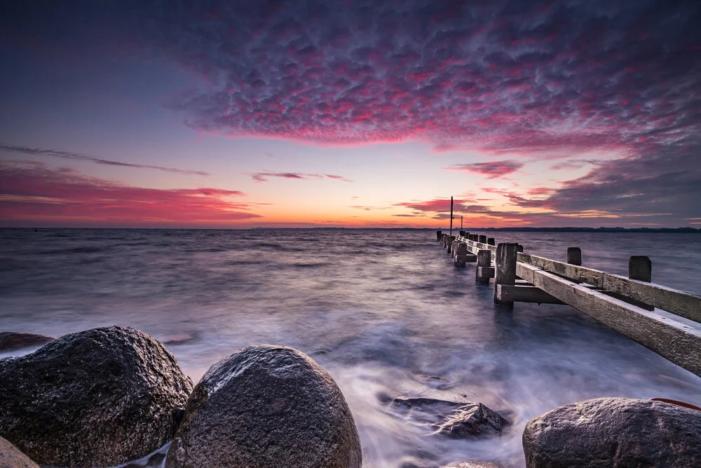 Pink - fotokunst von Markus Van Hauten