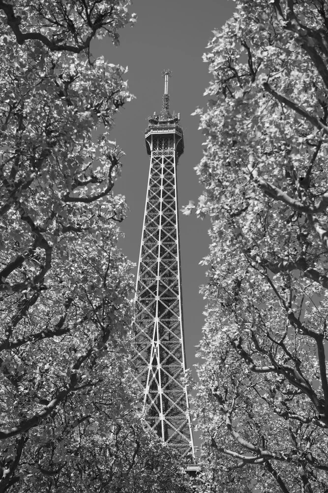 Pray for Paris - Fineart photography by Markus Hertrich