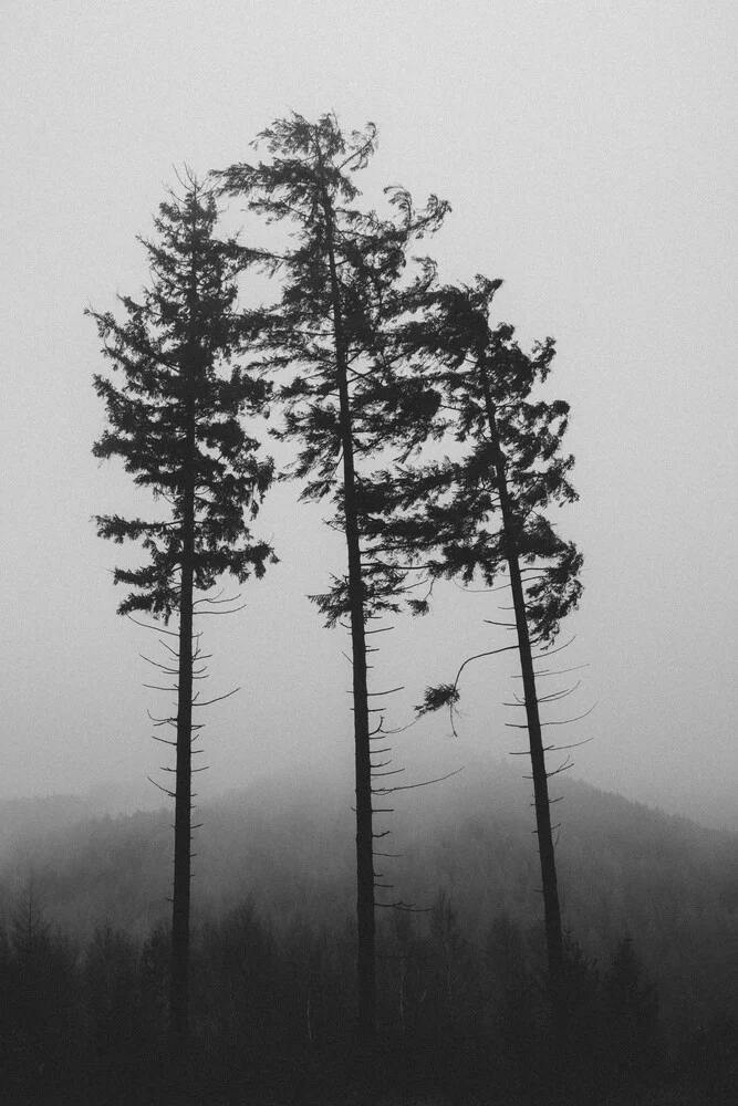 Tönsberg im Teutoburger Wald im November - fotokunst von Nadja Jacke