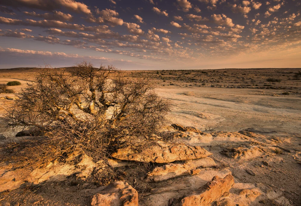 Blutkoppe - fotokunst von Michael Stein