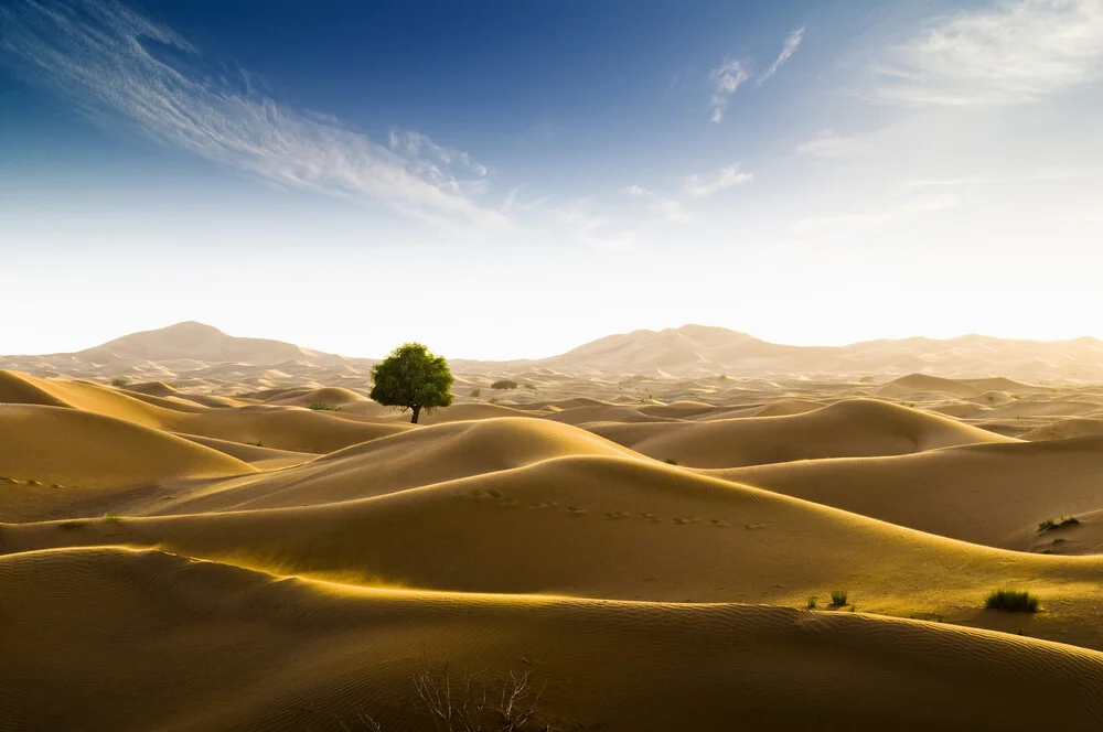 Rub al-Chali - fotokunst von Daniel Schoenen