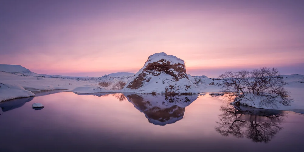 Pink reflections - fotokunst von Markus Van Hauten