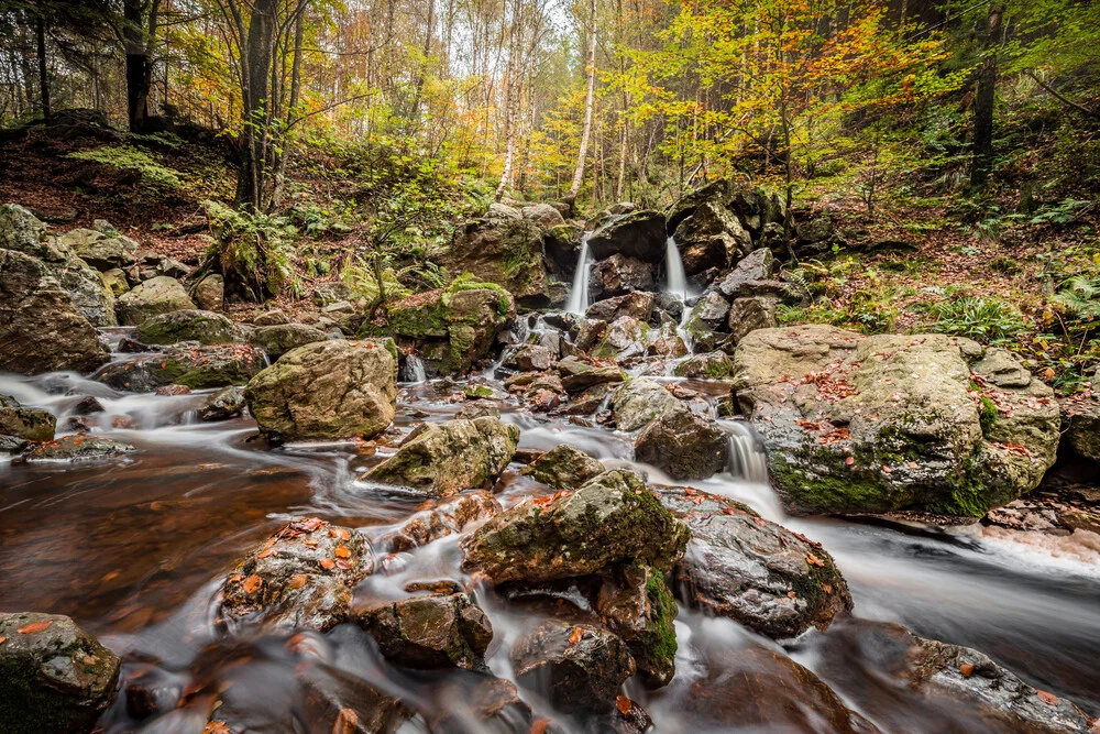 Autumn - Fineart photography by Markus Van Hauten