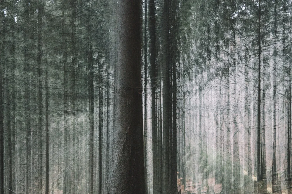 Teutoburger Wald mit Sogwirkung - fotokunst von Nadja Jacke