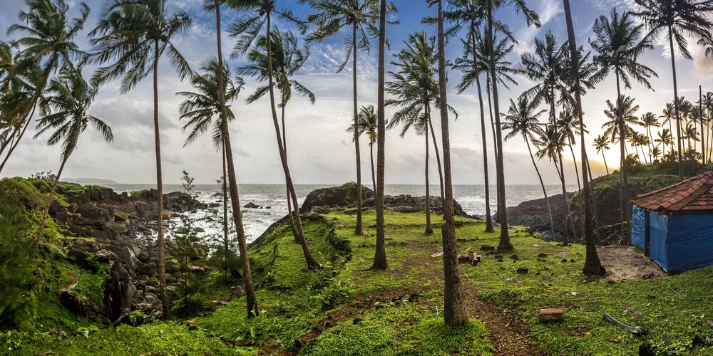 Palm-Scape - fotokunst von Markus Schieder