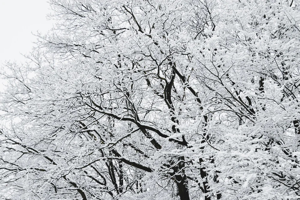 Winterlicher Wald - fotokunst von Nadja Jacke
