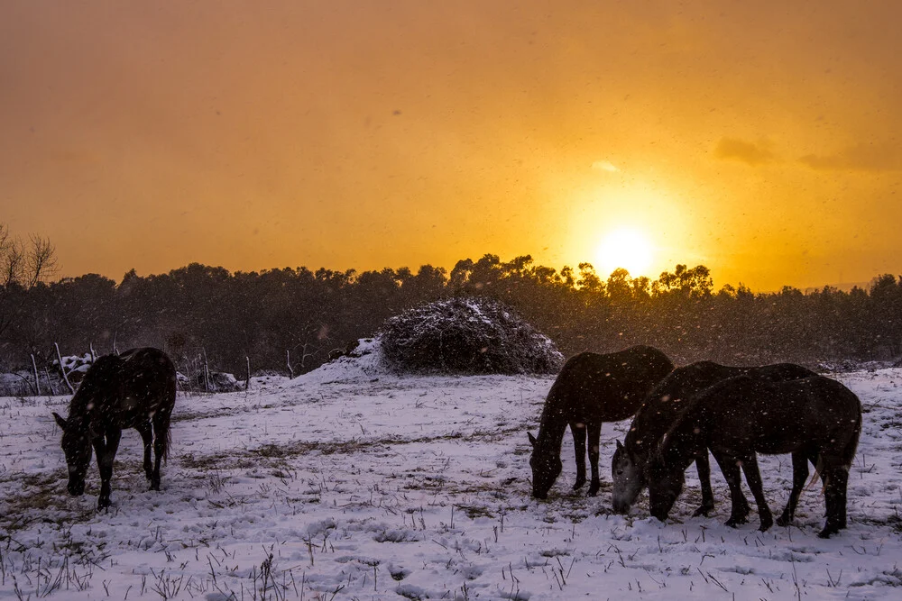 Snowy sunset in Sicily - Fineart photography by Alessio Campo