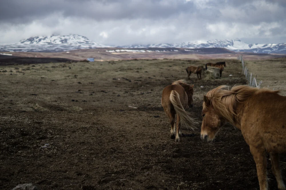 Der lange Weg nach Westen - fotokunst von Nico Schütt